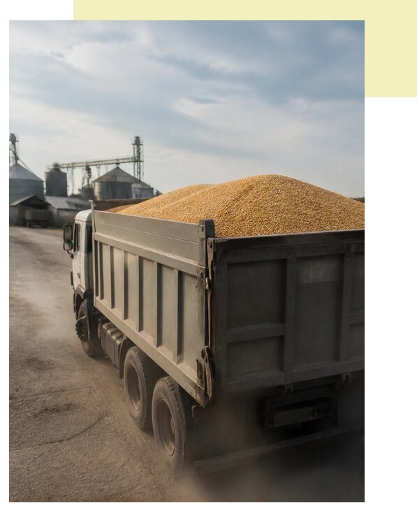 Перевозка сельхозпродукции навалом в Вятских Поляну по цене от 3045 р. | Агросервис-Втс