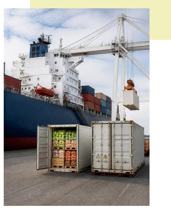 Доставка агропродукции в контейнерах в Вятских Поляну по цене от 12180 р. | Агросервис-Втс